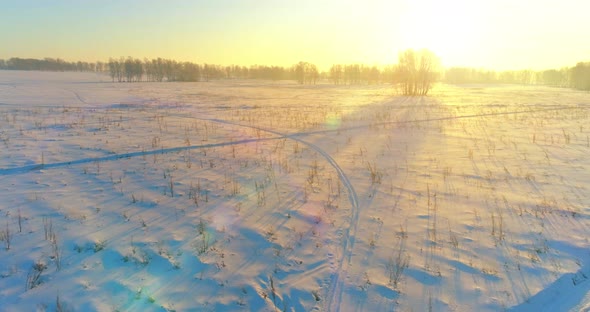 Aerial Drone View of Cold Winter Landscape with Arctic Field, Trees Covered with Frost Snow and