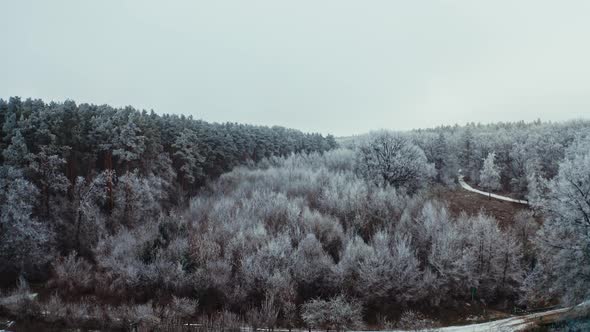 Winter forest in hard frost. Aerial view of winter woodlands during flight at frosty day