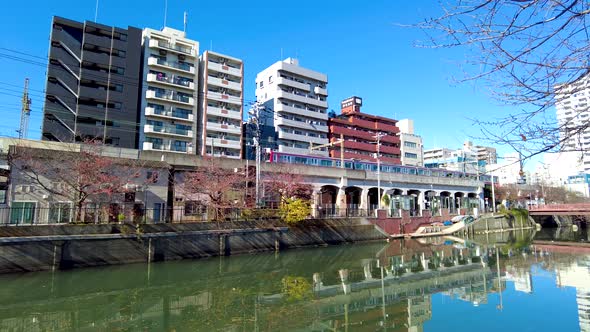 The Beauty of Ooka River