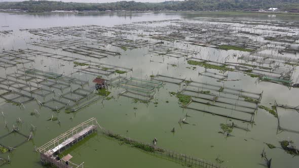 Wide aerial view of traditional floating fish pond on swamp in Indonesia