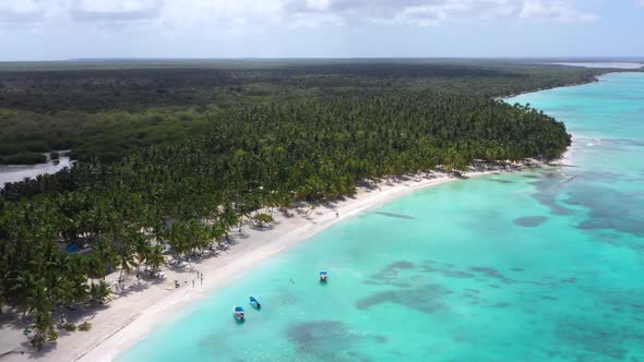 Aerial View on Tropical Island with Coconut Palm Trees and Turquoise Caribbean Sea