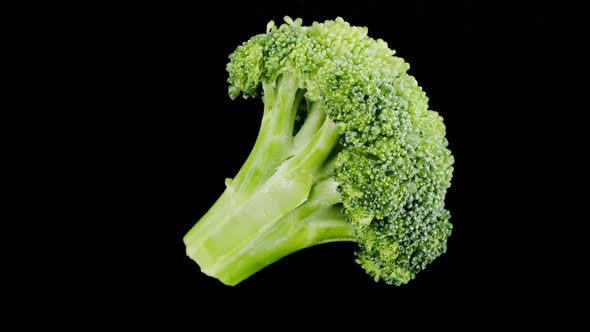 Broccoli Top View on Black Background Fresh Green Broccoli Closeup Vitamins Raw Food and Vegetarian