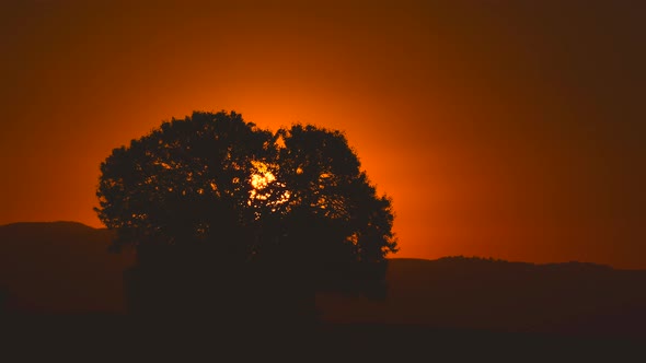 Sunrise morning time-lapse golden sky