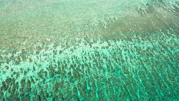 Aerial view travel of tropical shore beach wildlife by turquoise ocean and white sand background of 