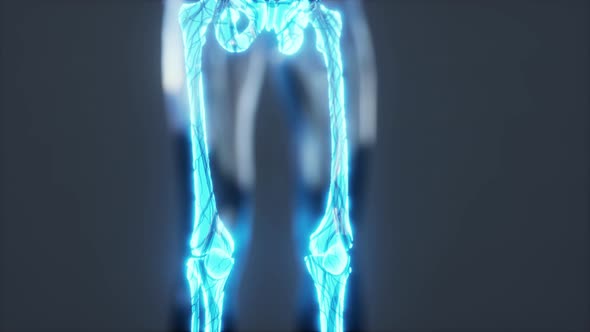 Xray Full Body of Skeleton in Brightness Glow alt
