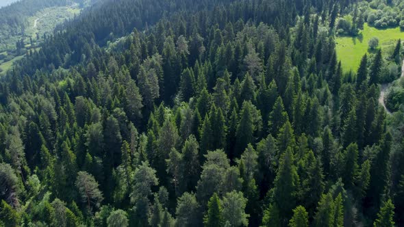 Mountain and forest aerial view