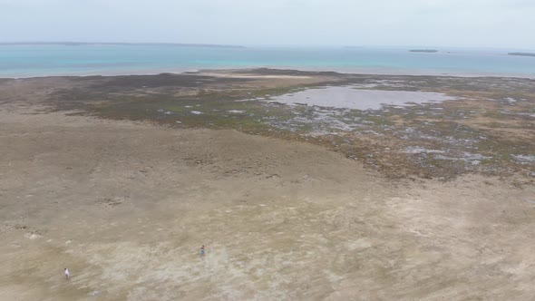 Aerial View of Sandbank in the Ocean at Low Tide Covered with Seaweed Zanzibar