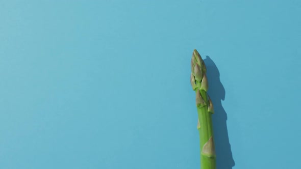 Video of fresh asparagus with copy space over blue background