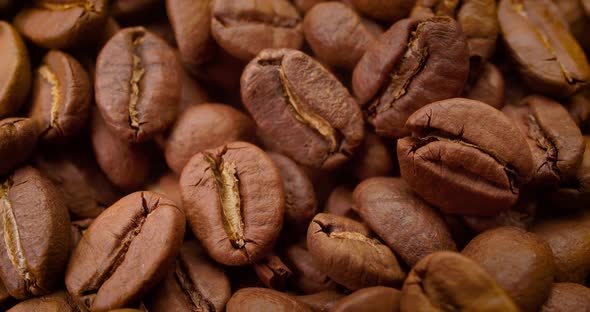 Close Up of Seeds of Coffee