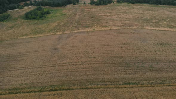 View of forest and field in Kolbudy, Kaszubia, pomorskie, Poland