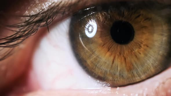 Male Eye Extreme Close Up. Amazing Eyesight. Brown with Green Eye. Slow Motion.