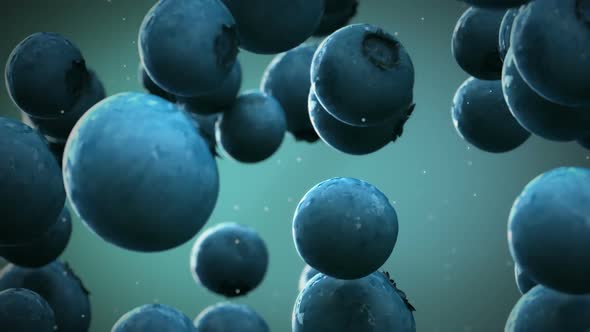 Slow motion animation of delicious blueberries falling down. Loopable. HD