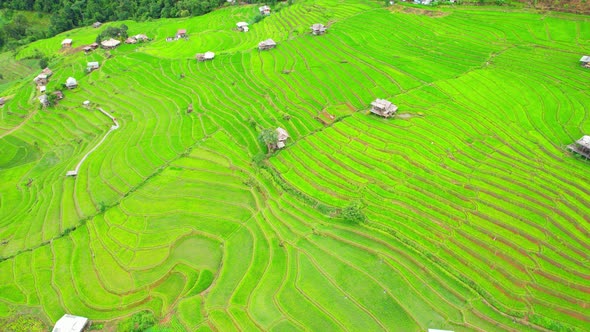 Drone view during golden hour of a rice terrace