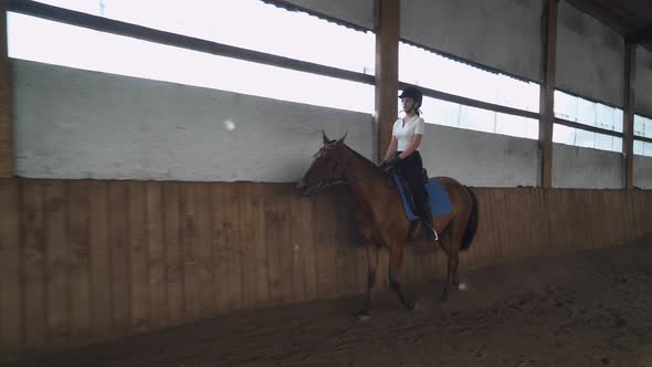 Young Female Trains Riding a Horse in a Covered Hangar, Girl Rides a Horse, Beautiful Light and Dust