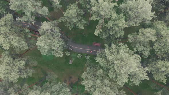 People walking in city park, drone view. Women run and walk in green park on rainy day. 