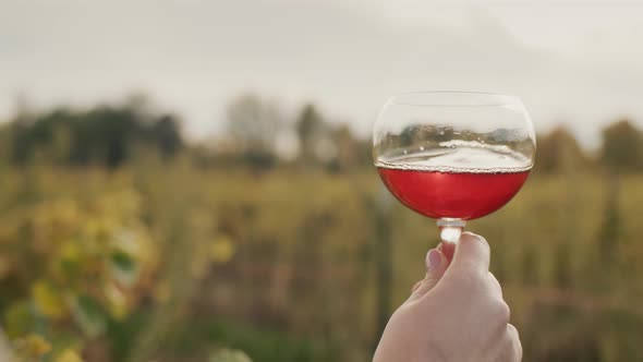 A Woman's Hand with a Glass of Red Wine