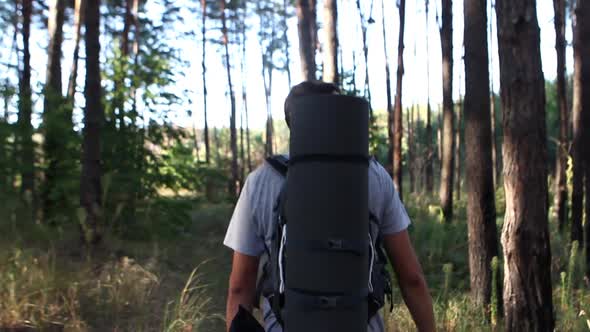 Man Travels Through The Woods