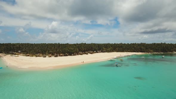 Beautiful Tropical Island with Beach