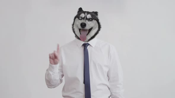 Man in office clothes with a dog's head stands on a white background and points with his finger.