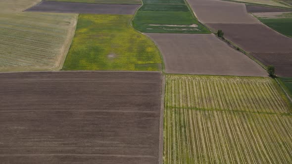 Agricultural Lands