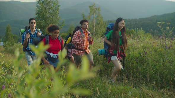 Diverse Multiethnic Hikers with Backpacks Enjoying Mountain View on Trek