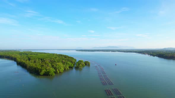 An island-shaped mangrove forest in the middle of a river mouth near the sea.