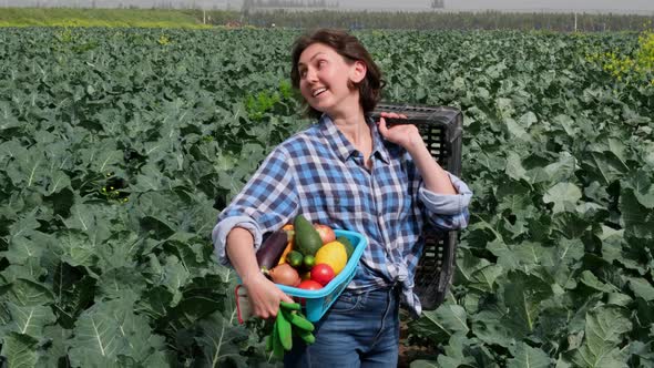 Woman Works in an Agricultural Field Where Vegetables Grow