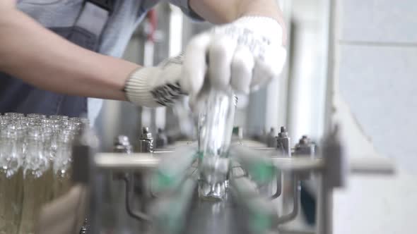 Worker Puts Empty Glass Bottles in Conveyor Belt in Distillery Production Line for Bottling Vodka