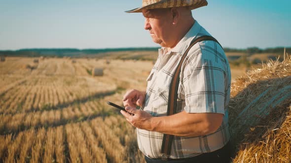 Old Farmer Uses Tablet in the Field Next To Haystack at Sunset. Smart Farming, Using Modern