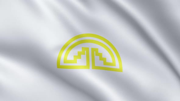 Flag of Andean Community | UHD | 60fps