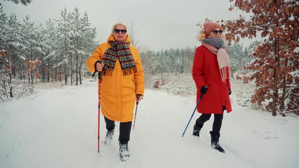 Woman Practicing Nordic Walking In Forest. Sticks Walking On Winter Wood. Sport Activities Healthy.