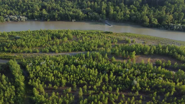 forest aerial view