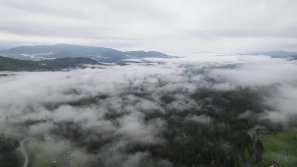 Ukraine, Carpathians: Fog in the Mountains. Aerial. Gray, Flat