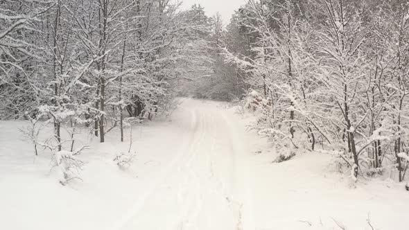Snowed foot path in the woods 4K aerial video