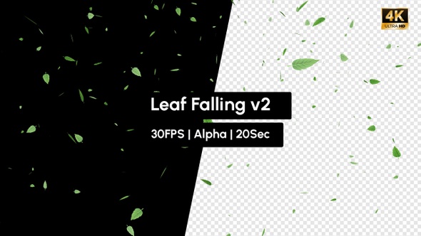 Green Leaf Falling Rain Leaves v2 with Alpha