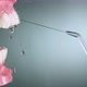 Water Flosser Cleaning Teeth on Green - VideoHive Item for Sale