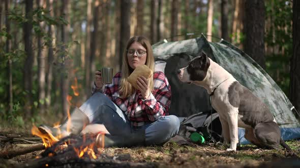 Wide Shot of Relaxed Tourist Eating Snack Drinking Tea From Thermos with Curios American