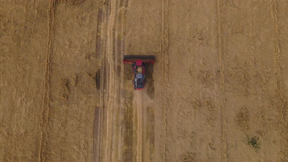 Combine Harvester Working In The Field.