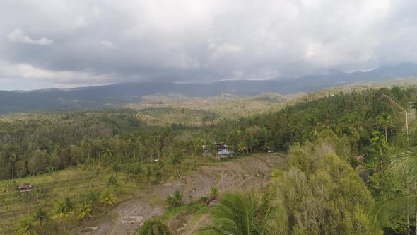 Tropical Landscape with Agricultural Land in Indonesia