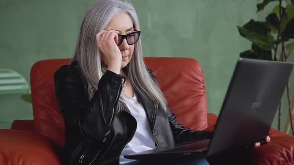 Satisfied Modern Stylish Lady in Glasses which Working on Laptop at Home