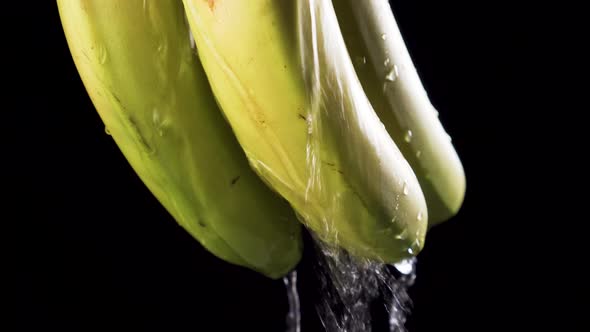 Washing a bunch of bananas on a black background