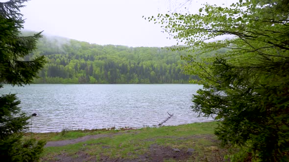 Beautiful landscape mountain lake with the forest in the background. Spring landscape