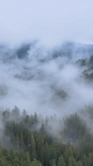 Vertical Video of Fog in the Mountains