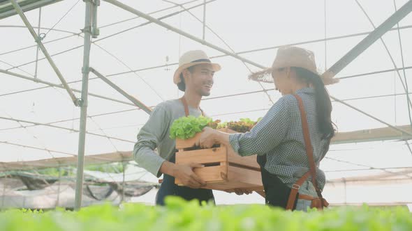 Asian farmers couple work in vegetables hydroponic farm with happiness.