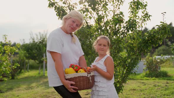 Portrait grandmother granddaughter hold basket with vegetables harvest in garden outdoors