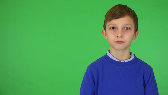 A Young Cute Boy Looks Seriously at the Camera, Green Screen Studio