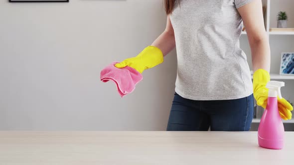 Home Cleaning Housewife Routine Hygiene Interior