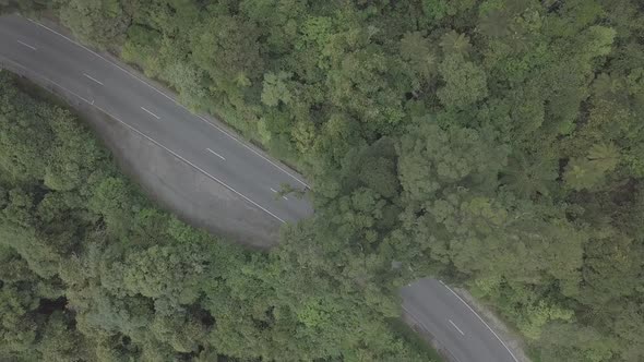 Road in New Zealand