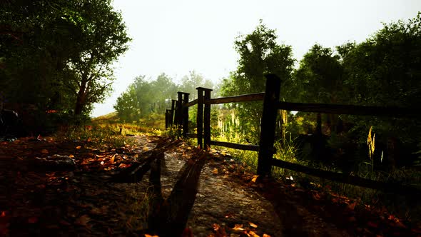 Old Wooden Fence and Hiking Path Through Forest