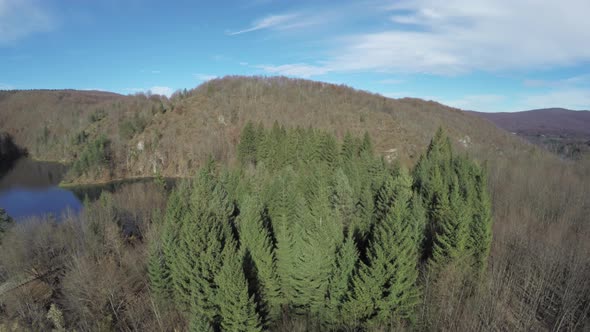 Aerial of autumn forest in Plitvice Park